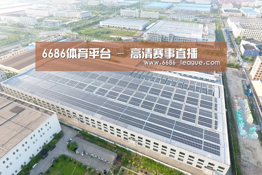 案例展示二