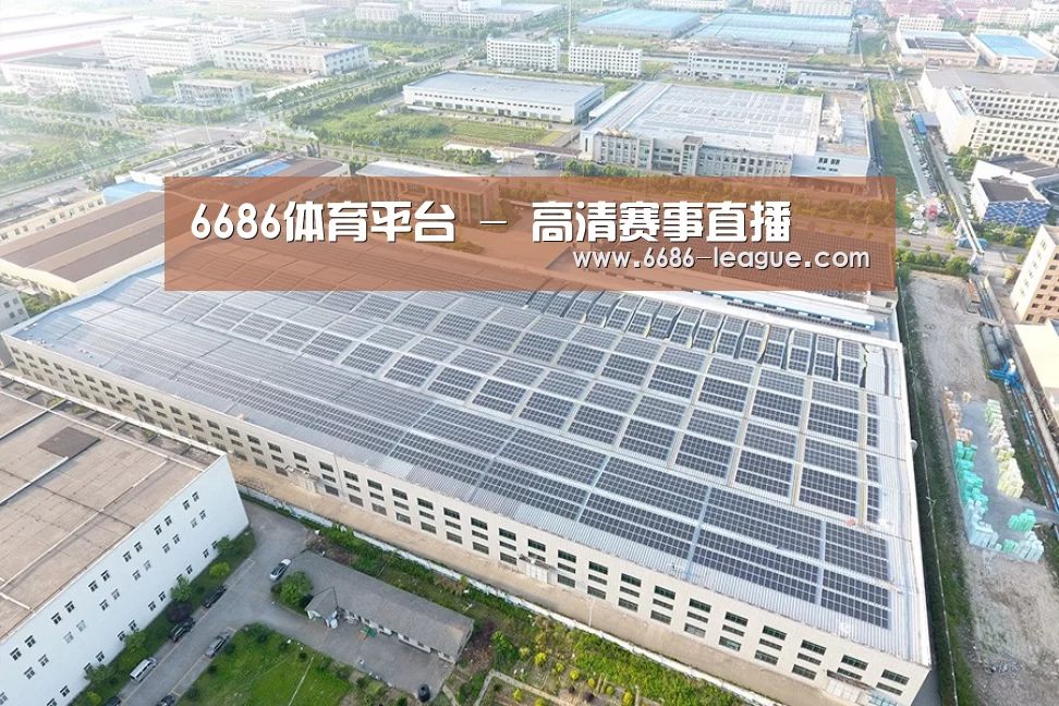 案例展示三