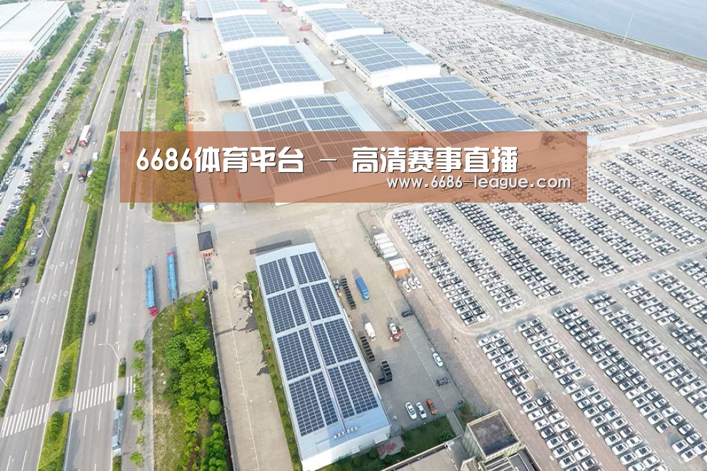 案例展示一