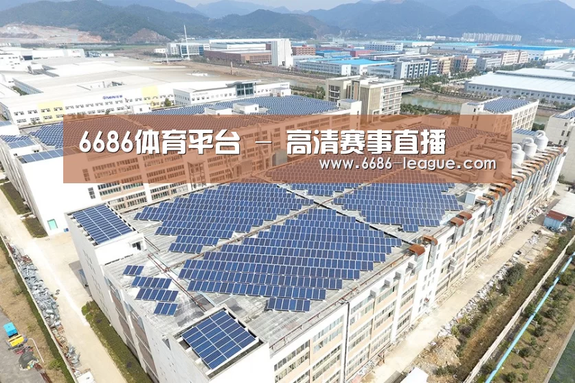 案例展示四