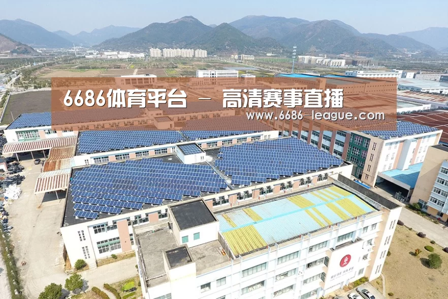 案例展示三
