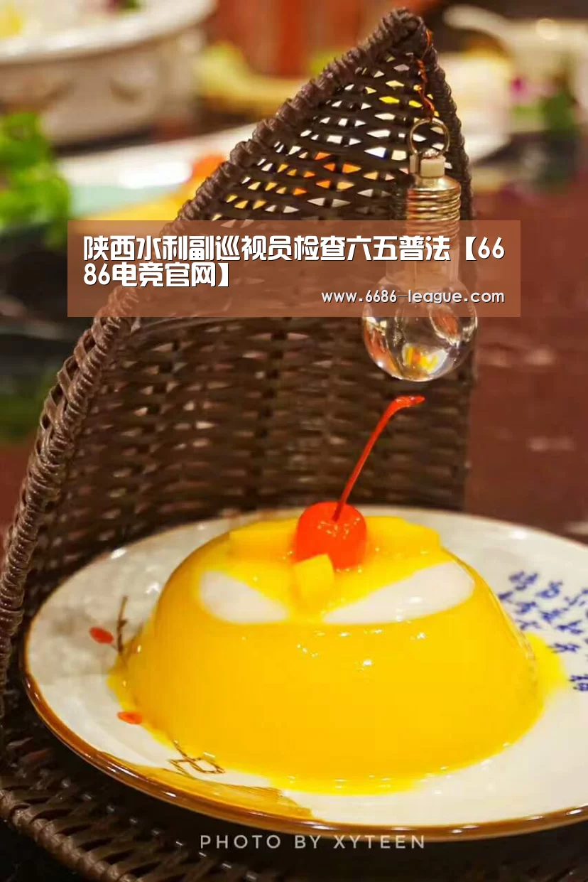 陕西水利副巡视员检查六五普法【6686电竞官网】(图1) 6686体育平台